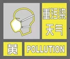 纸飞机老司机最新爆料内容,最新爆料带你领略纸飞机飞行新境界